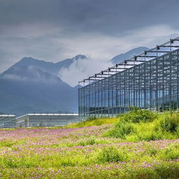 武功山.花澗里現(xiàn)代農業(yè)觀光園開園儀式順利舉辦 內附大量美圖