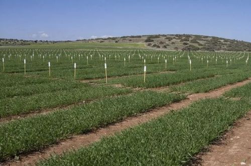 青州地主網 首個國家級農業(yè)綜合試驗區(qū)落戶山東 15大紅利 下一個會是