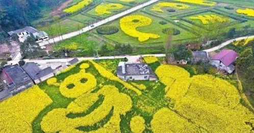 農業(yè)最賺錢的一年要來了