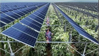 優質旅游時代下的休閑農業怎么干