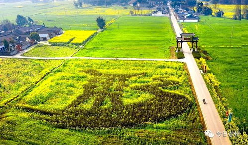 農業 文創 旅游 ,這個村迎來大發展