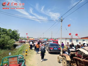 發展綠色生態農業 推進鄉村旅游發展 陳莊鎮第五屆臨合蜜采摘節活動盛大開幕