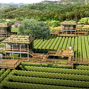 江西宜春天心茶園旅游綜合開發(fā)項目 - 北京東方創(chuàng)美旅游景觀規(guī)劃設(shè)計院-旅游地產(chǎn)、農(nóng)業(yè)旅游、古城古鎮(zhèn)、文化產(chǎn)業(yè)