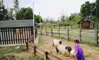 全國六大醉美田園綜合體爆點(diǎn)和模式分享