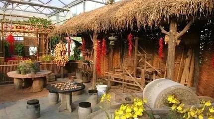 四種農(nóng)民致富的行業(yè),創(chuàng)新農(nóng)業(yè)、養(yǎng)殖業(yè)、農(nóng)產(chǎn)品加工業(yè)和農(nóng)村旅游