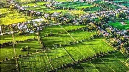 現(xiàn)代農(nóng)村,建設(shè)綠色可持續(xù)發(fā)展的產(chǎn)業(yè)新格局