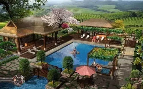 未來養(yǎng)生市場將達(dá)千億規(guī)模,休閑旅游開發(fā)如何抓住機(jī)遇