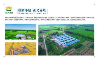 黑龍江大錦農農業開發