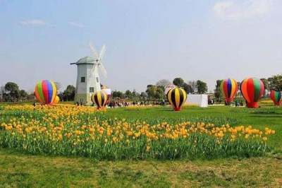 廣西現代特色農業縣級示范區如何申報