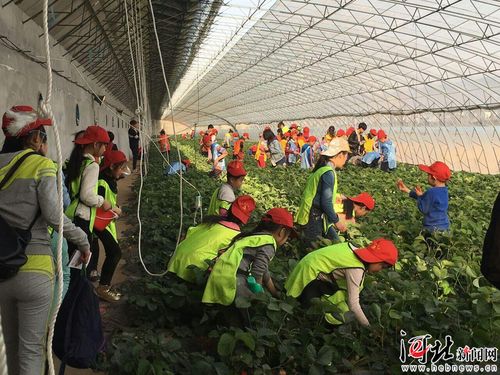 河北省推出32條系列休閑農(nóng)業(yè)與鄉(xiāng)村旅游精品線路