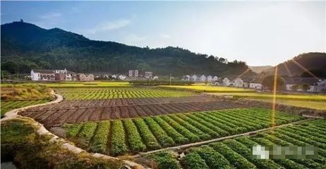 農(nóng)村最賺錢的項(xiàng)目出爐,一大批人要富得流油了!