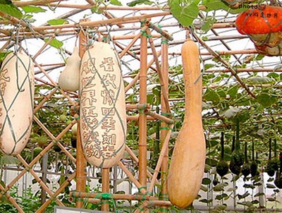 煙臺本地人告訴你開發(fā)區(qū)、福山區(qū)、牟平區(qū)有什么好玩