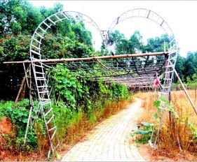 有吃有玩 帶你走進(jìn)貴港這5個(gè)自治區(qū)休閑農(nóng)業(yè)與鄉(xiāng)村旅游示范點(diǎn)