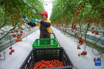 新華全媒+丨浙江探尋共富之路