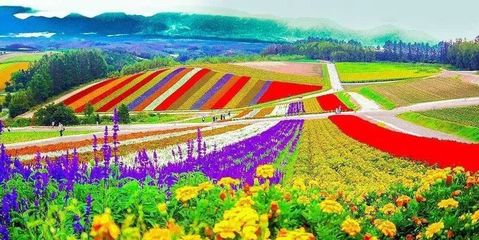 中國休閑農業發展現狀、問題與對策