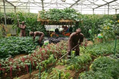 中國首批&ldquo;國家生態(tài)園林城市&rdquo;的縣級市,是&ldquo;鹽都&rdquo;,但不是自貢