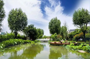 中牟縣雁鳴湖鎮(zhèn) 旅游 農業(yè) 生態(tài) 融合發(fā)展 繪就全域旅游 新畫卷