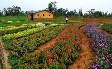 農(nóng)業(yè)+旅游+康養(yǎng)綜合農(nóng)旅產(chǎn)業(yè)化,如何進(jìn)行特色創(chuàng)意規(guī)劃?