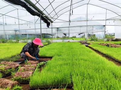 贛州開發(fā)區(qū)黨務(wù)公開網(wǎng)-- 三江鄉(xiāng):春耕好時(shí)節(jié) 早稻插秧忙 - 讓經(jīng)開書香彌漫 讓讀書蔚然成風(fēng) - 蟠龍鎮(zhèn):筑牢安全生產(chǎn)防線 - 【簡(jiǎn)訊】 - &ldquo;2023贛州消費(fèi)提振年&rdquo;暨汽車消費(fèi)券發(fā)放啟動(dòng)儀式在經(jīng)開萬達(dá)廣場(chǎng)舉行 - 本區(qū)資訊