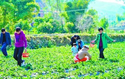 見證發展!&ldquo;數&rdquo;說仁和區改革開放40年的經濟社會發展成就