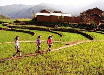 鄉村旅游開發中的問題分析