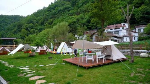 又出圈了 漢中這條火爆到家的精品研學游路線,你去打卡了嗎