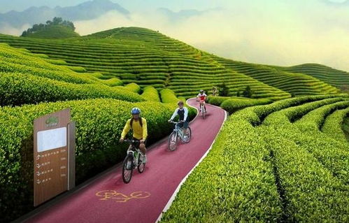 創(chuàng)藝園分享 特色農(nóng)業(yè)旅游小鎮(zhèn)開發(fā)的6大項目類型