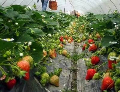 厲害了！江蘇9縣市被中央點贊，揚州上榜！快看看有沒有你家~