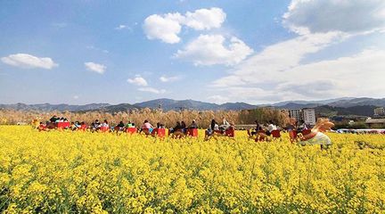 2019年休閑農(nóng)業(yè)與鄉(xiāng)村旅游業(yè)的推進策略與發(fā)展路徑