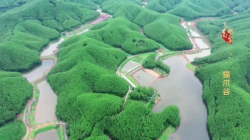 2020年度省級休閑農業與鄉村旅游示范鎮示范點公示 高要兩處上榜，助推農業旅游開發