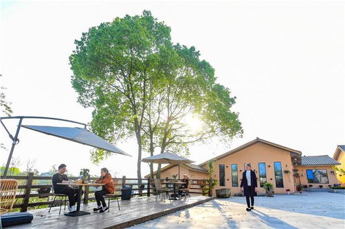 發展現代休閑農業，促進旅游產業升級