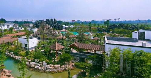 雙12旅游爆買節，農業旅游開發超值折扣不容錯過