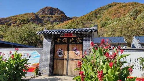 這里，迎來了農業旅游最佳觀賞季