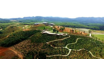 巾幗科技繪就田園新景 儋州某單位榮膺“全國巾幗現代農業科技示范基地”的啟示